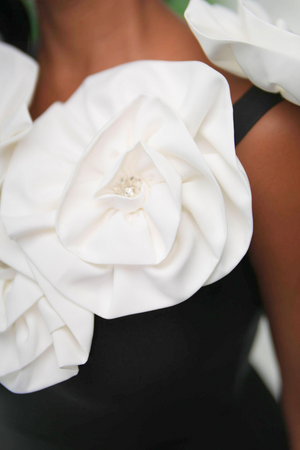 Met Gala Silhouette Gown